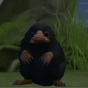 Meet your Posher, Ray